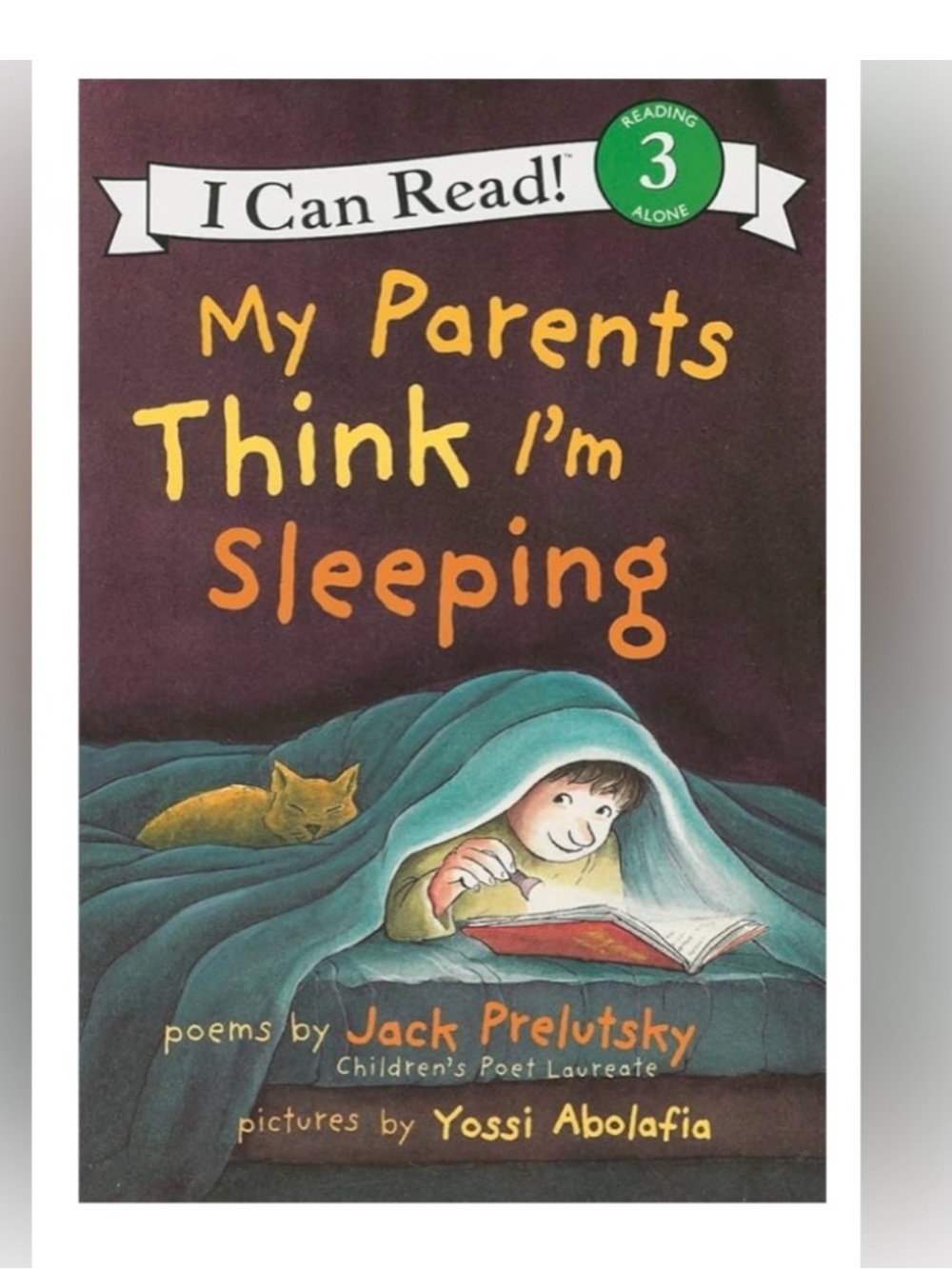 $2 MY PARENTS THINK I'M SLEEPING BOOK $2 WITH ANY $10 ORDER OR MORE
